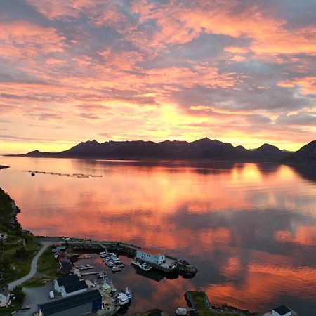 Апарт готель Senja Living Stonglandseidet Екстер'єр фото