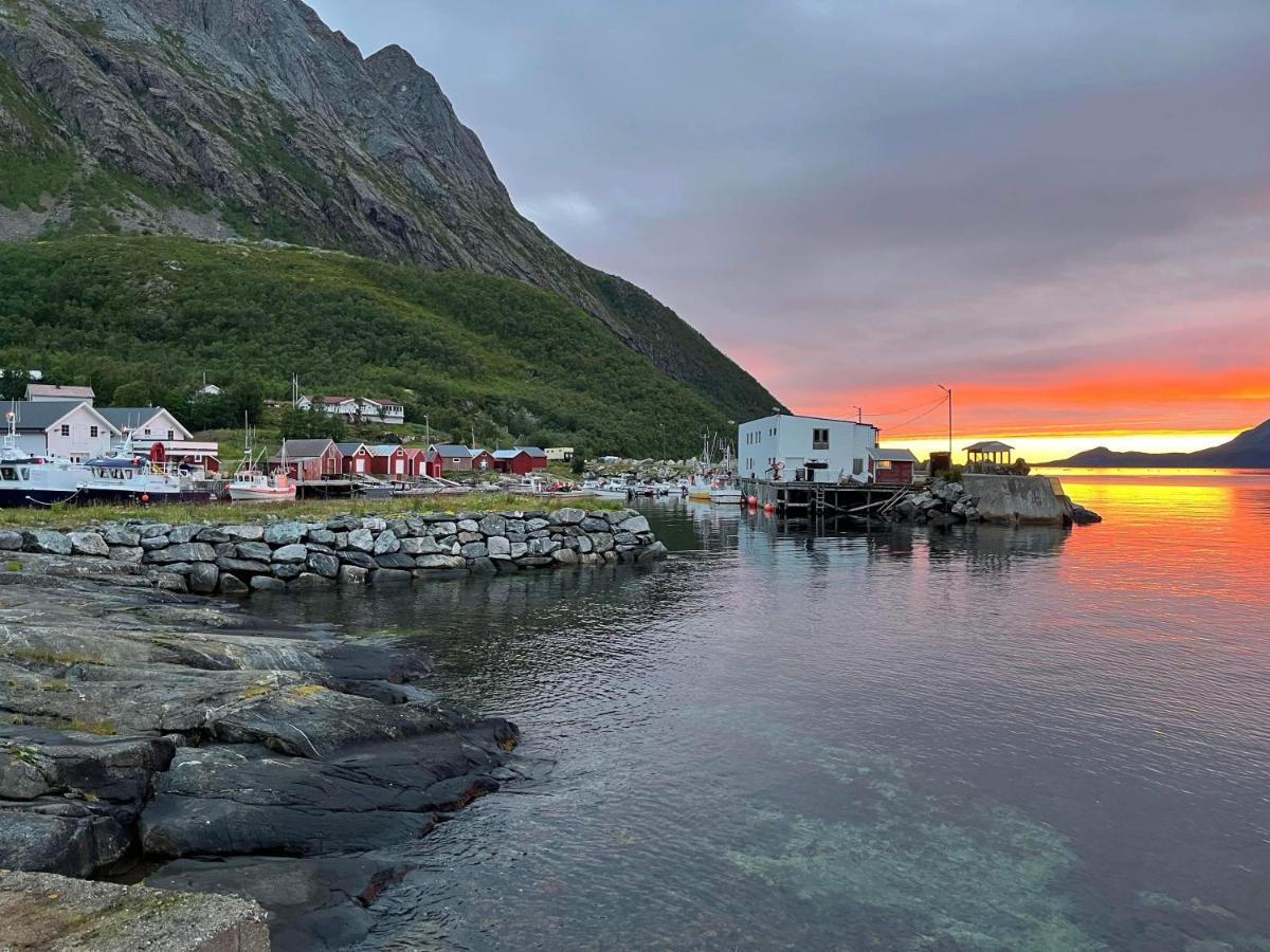 Апарт готель Senja Living Stonglandseidet Екстер'єр фото