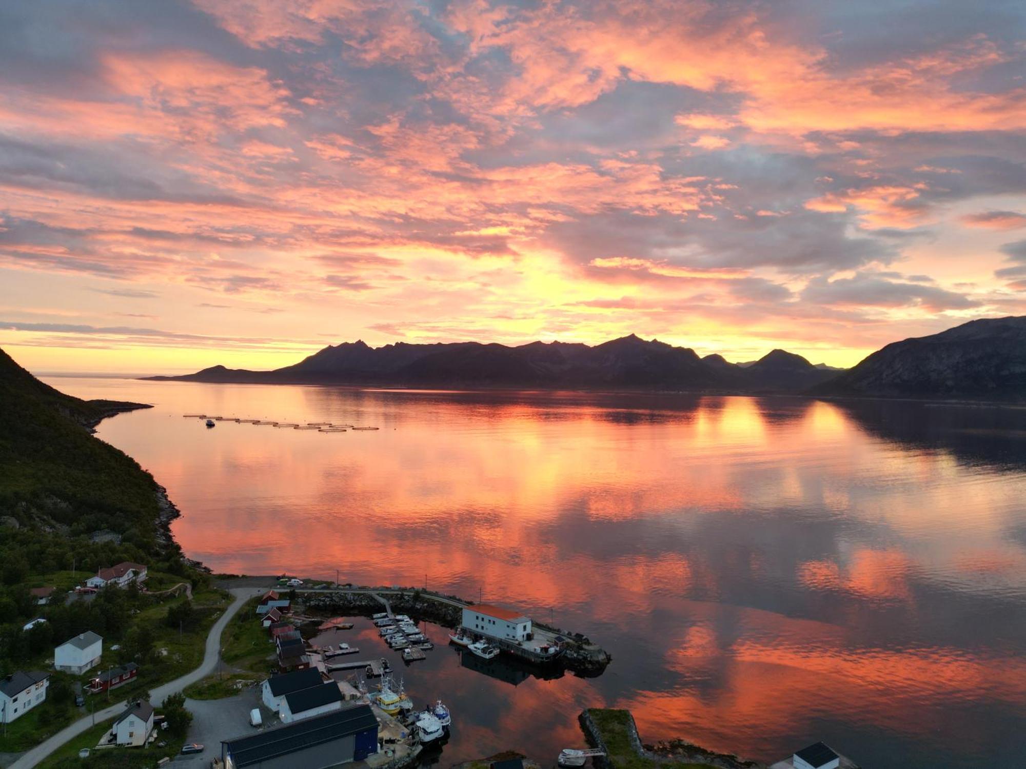 Апарт готель Senja Living Stonglandseidet Екстер'єр фото
